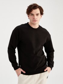 Свитшот DeFacto модель W7667AZ-BK81 Фото