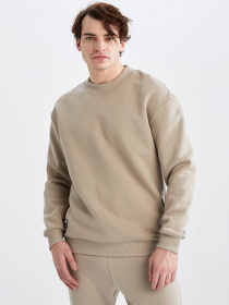 Світшот DeFacto модель W7667AZ-BG699 Фото