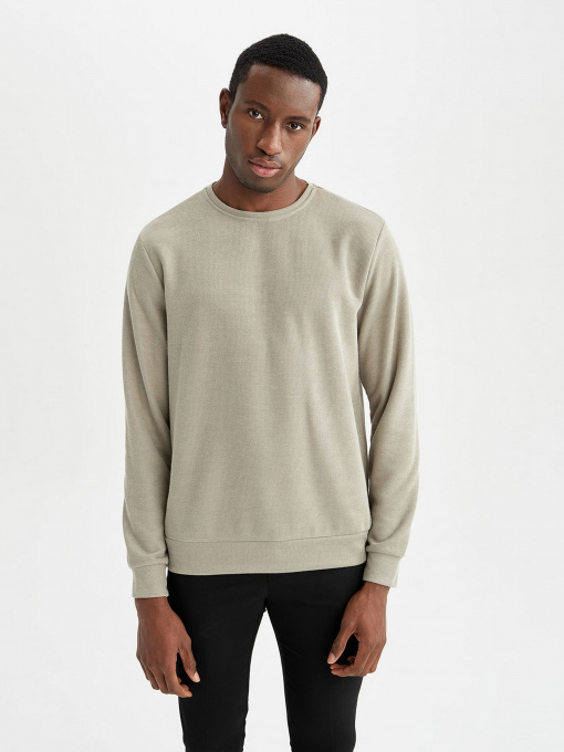 Свитшот DeFacto модель W9352AZ-GR345 Фото