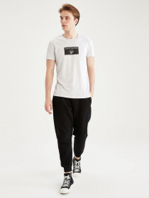 Футболки и поло DeFacto модель W6091AZ-GR363 Фото