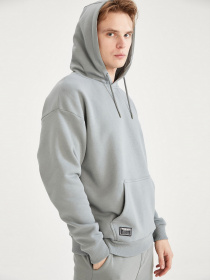 Худи DeFacto модель W7668AZ-GN1015 Фото