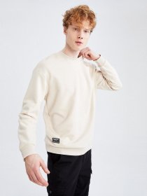 Світшот DeFacto модель W7667AZ-BG700 Фото