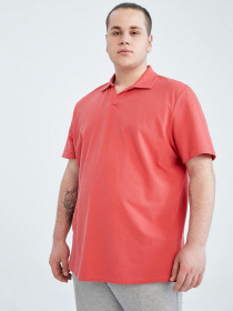 Поло DeFacto модель Y2977AZ-RD132 Фото