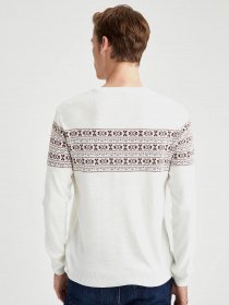 Пуловер DeFacto модель R8489AZ-ER65 Фото