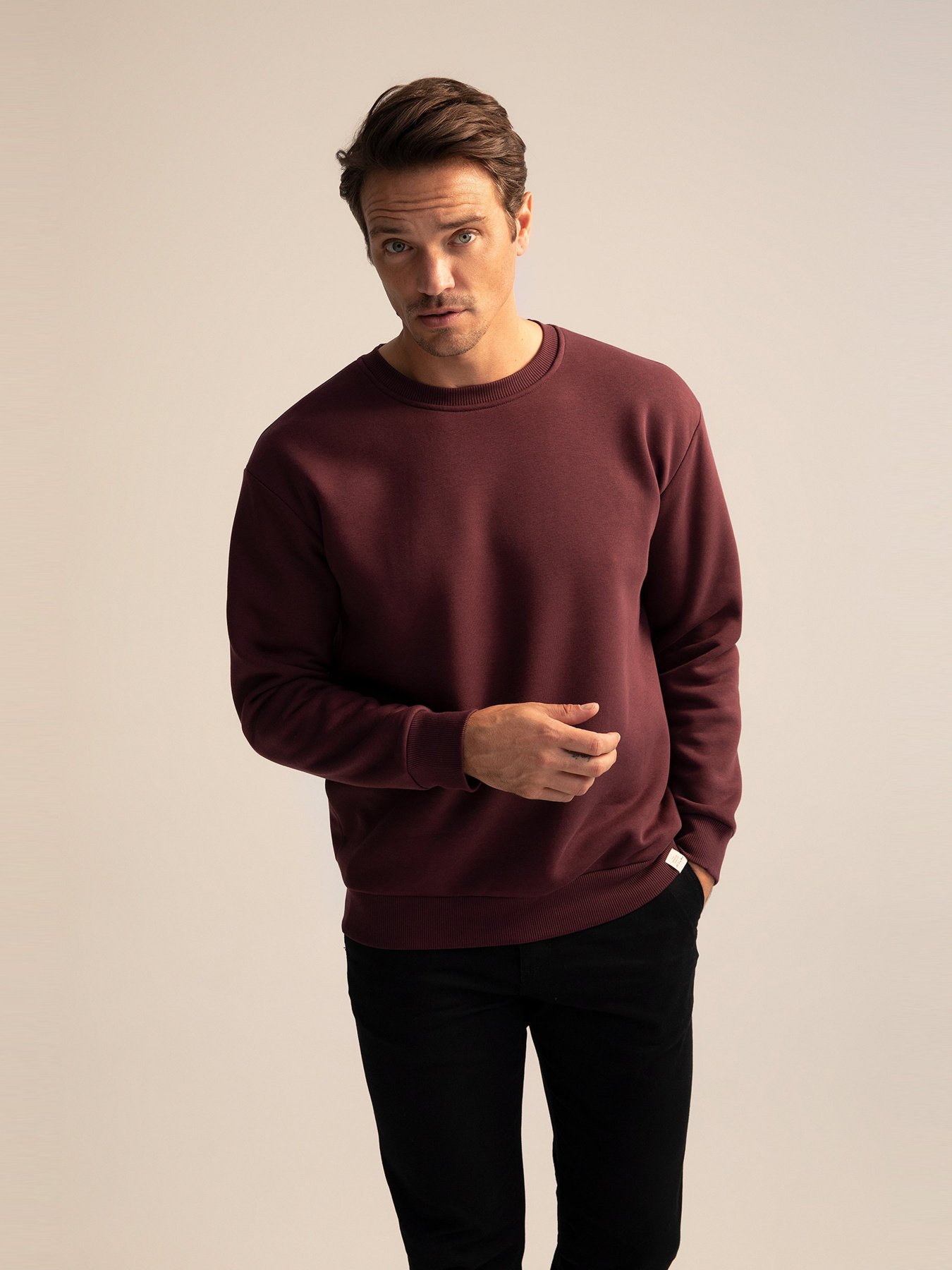 Свитшот DeFacto модель T5139AZ-BR46 Фото