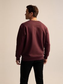 Свитшот DeFacto модель T5139AZ-BR46 Фото