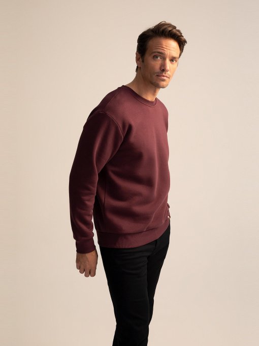 Світшот DeFacto модель T5139AZ-BR46 Фото