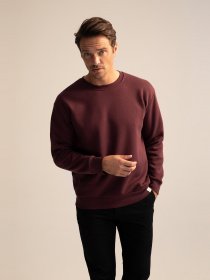 Світшот DeFacto модель T5139AZ-BR46 Фото