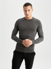 Джемпер DeFacto модель Y0798AZ-AR193 Джемпер DeFacto модель Y0798AZ-AR193 Фото