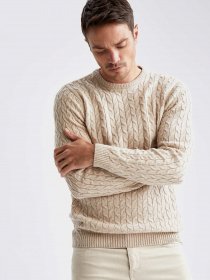 Джемпер DeFacto модель S0316AZ-BG216 Фото