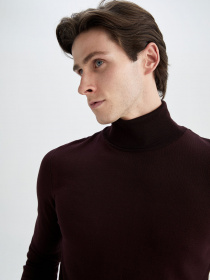 Водолазка DeFacto модель Y0800AZ-BR145 Водолазка DeFacto модель Y0800AZ-BR145 Фото