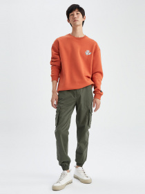 Карго DeFacto модель M6253AZ-KH391 Фото