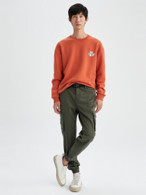 Карго DeFacto модель M6253AZ-KH391 Фото