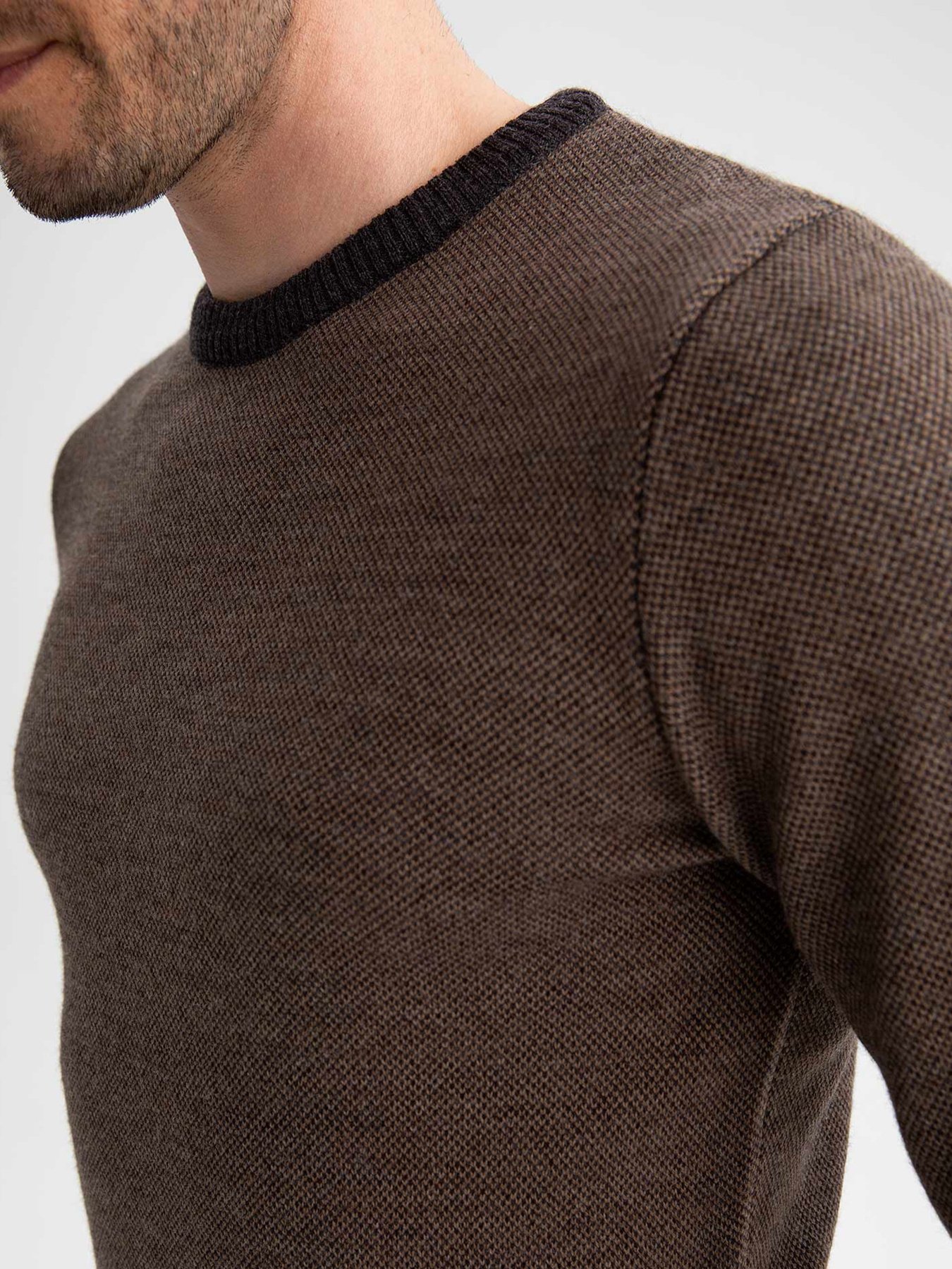 Джемпер DeFacto модель R1110AZ-AR102 Фото