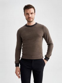 Джемпер DeFacto модель R1110AZ-AR102 Фото