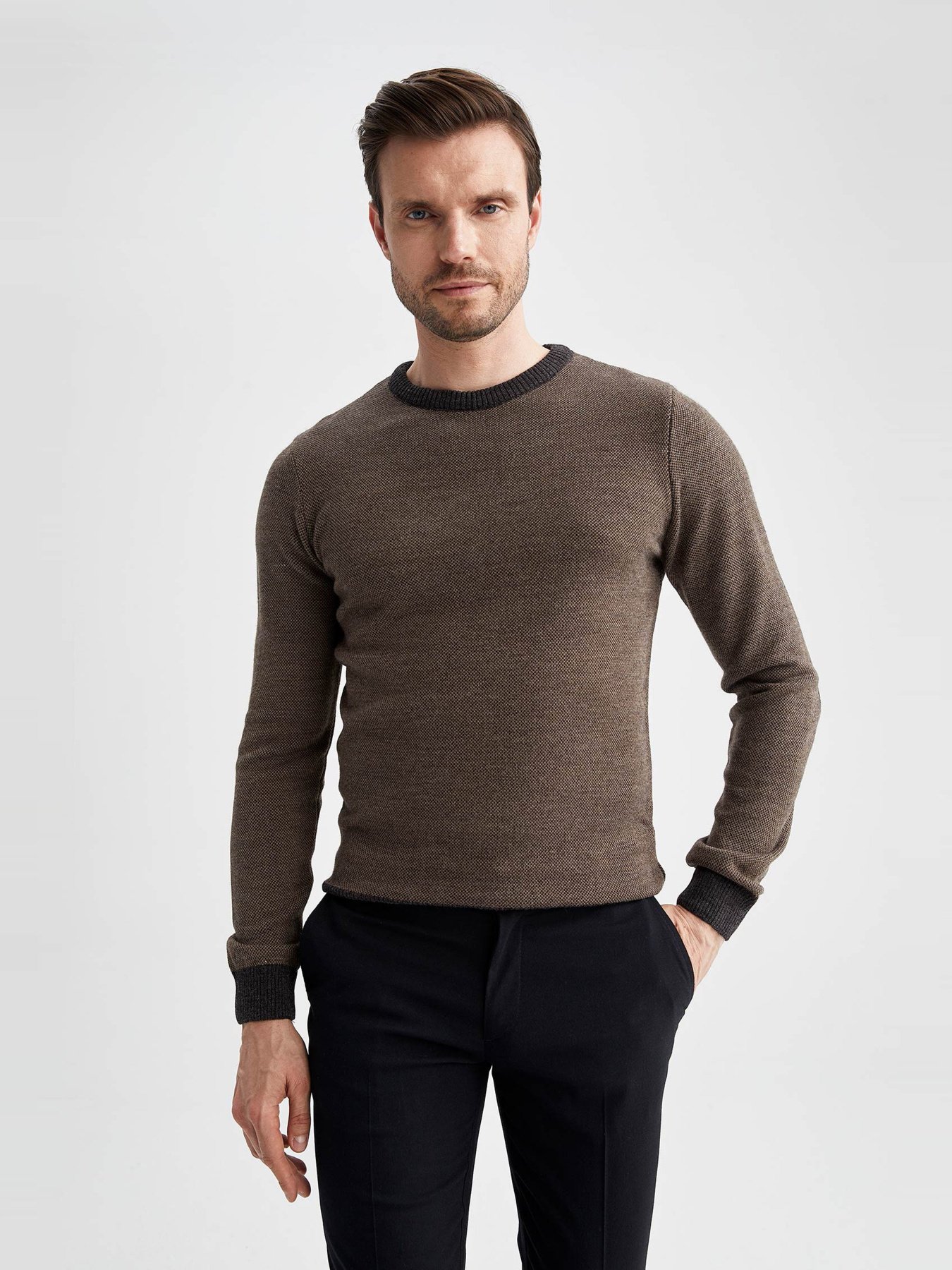 Джемпер DeFacto модель R1110AZ-AR102 Джемпер DeFacto модель R1110AZ-AR102 Фото