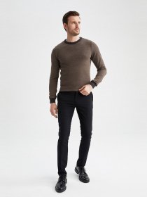 Джемпер DeFacto модель R1110AZ-AR102 Джемпер DeFacto модель R1110AZ-AR102 Фото