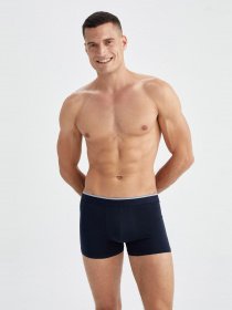 Набор трусов DeFacto модель N9366AZ-NV135 Фото