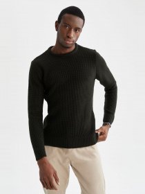 Джемпер DeFacto модель N9902AZ-GN185 Фото