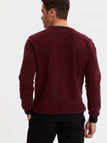 Джемпер DeFacto модель S2840AZ-BR25 Фото