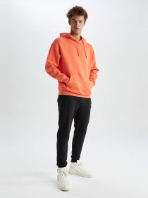 Джогери DeFacto модель S6669AZ-AR160 Фото