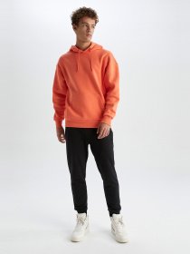 Джогери DeFacto модель S6669AZ-AR160 Фото