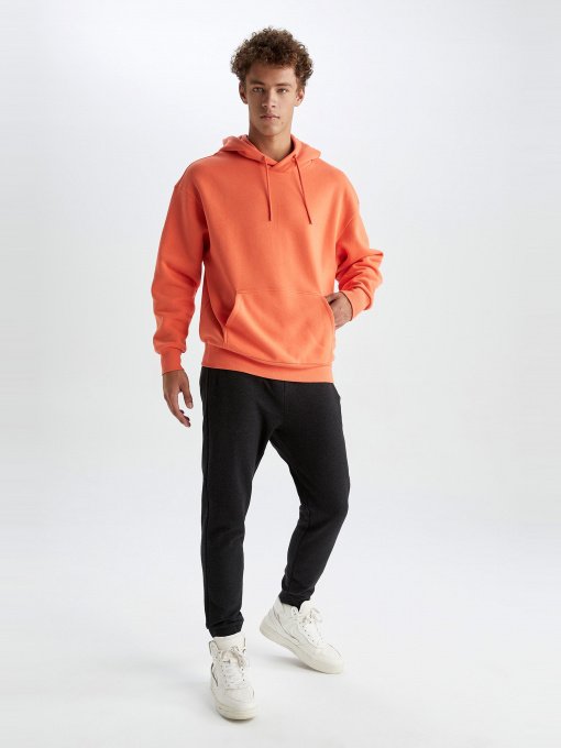 Джогери DeFacto модель S6669AZ-AR160 Фото