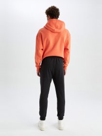 Джогери DeFacto модель S6669AZ-AR160 Фото