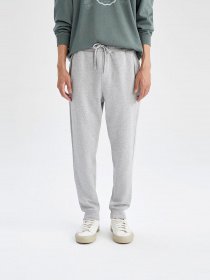 Джогери DeFacto модель S6669AZ-GR360 Фото