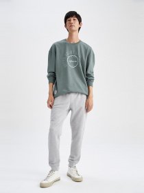 Джогери DeFacto модель S6669AZ-GR360 Фото