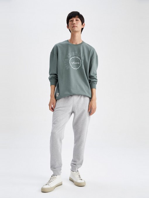 Джоггеры DeFacto модель S6669AZ-GR360 Фото