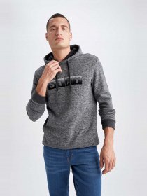 Худі DeFacto модель S7878AZ-AR94 Фото