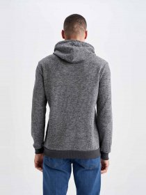 Худі DeFacto модель S7878AZ-AR94 Фото