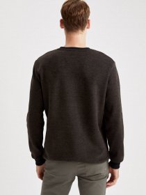 Джемпер DeFacto модель S2840AZ-BN482 Фото