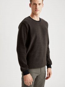 Джемпер DeFacto модель S2840AZ-BN482 Фото