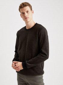 Джемпер DeFacto модель S2840AZ-BN482 Фото