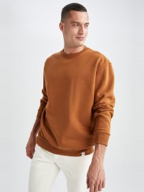 Свитшот DeFacto модель T5139AZ-BN107 Фото