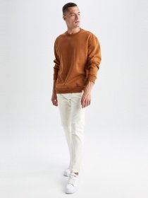 Свитшот DeFacto модель T5139AZ-BN107 Фото