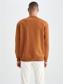 Свитшот DeFacto модель T5139AZ-BN107 Фото