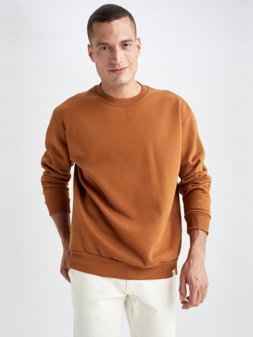 Світшот DeFacto модель T5139AZ-BN107 Фото