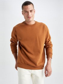 Свитшот DeFacto модель T5139AZ-BN107 Фото