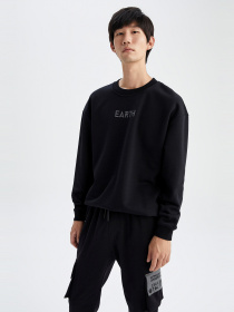 Свитшот DeFacto модель V5306AZ-BK81 Фото