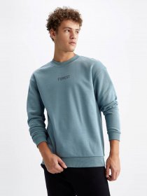 Свитшот DeFacto модель V5306AZ-GN979 Фото