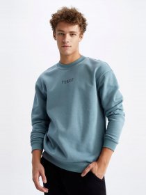 Свитшот DeFacto модель V5306AZ-GN979 Фото