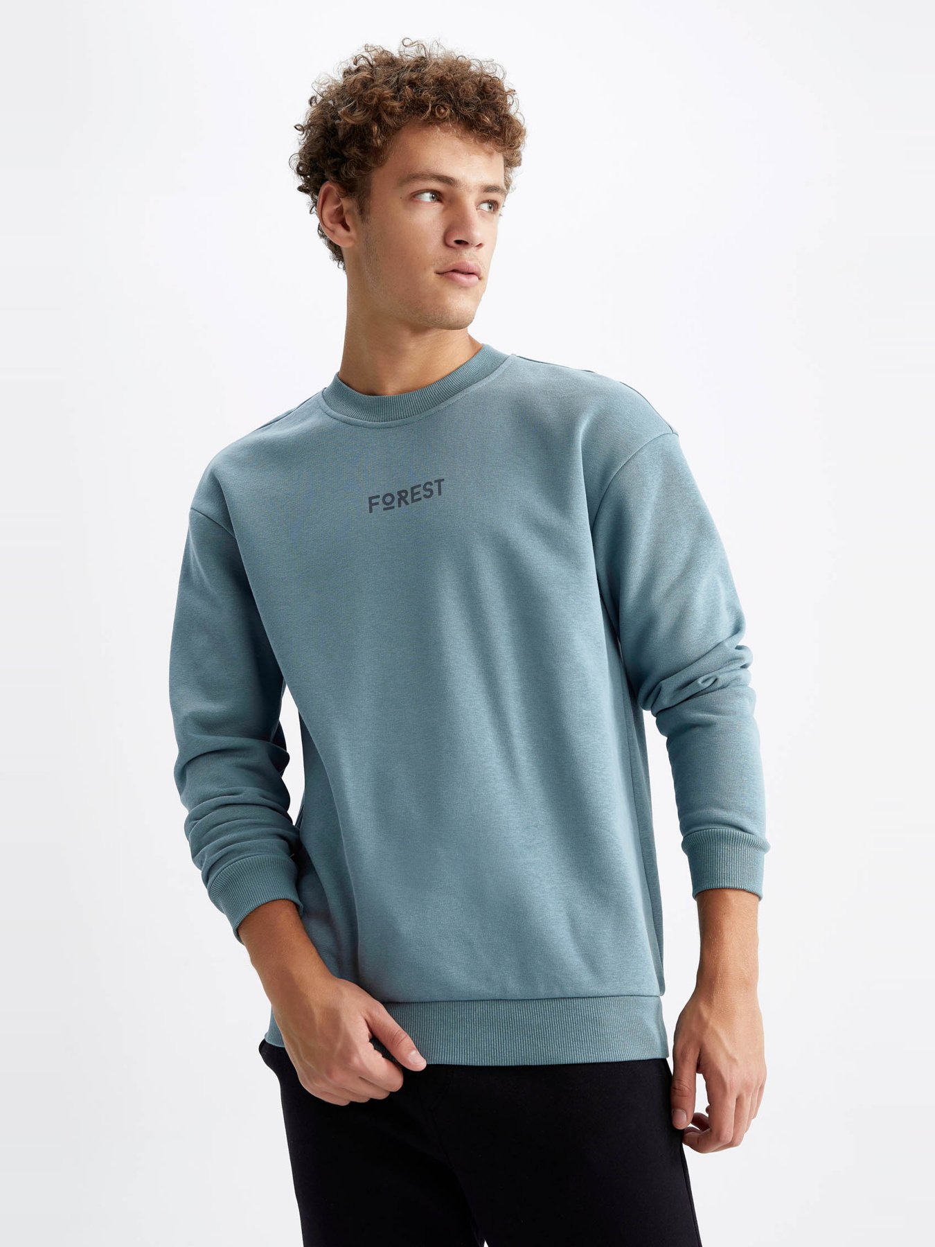 Світшот DeFacto модель V5306AZ-GN979 Фото