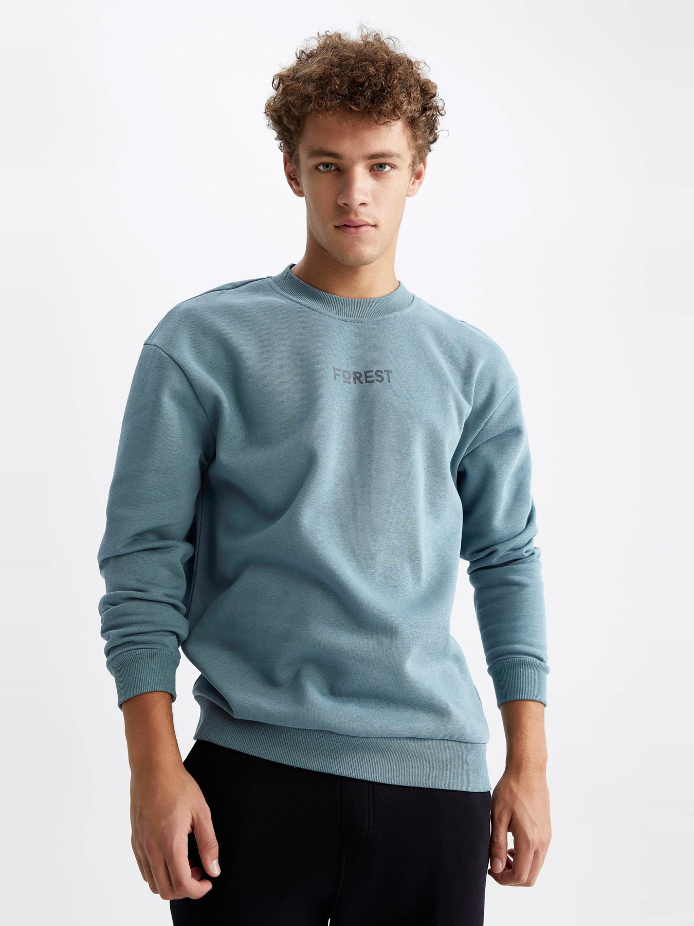 Світшот DeFacto модель V5306AZ-GN979 Фото