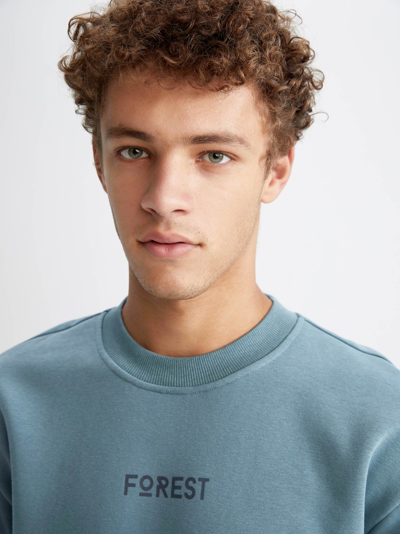 Світшот DeFacto модель V5306AZ-GN979 Фото