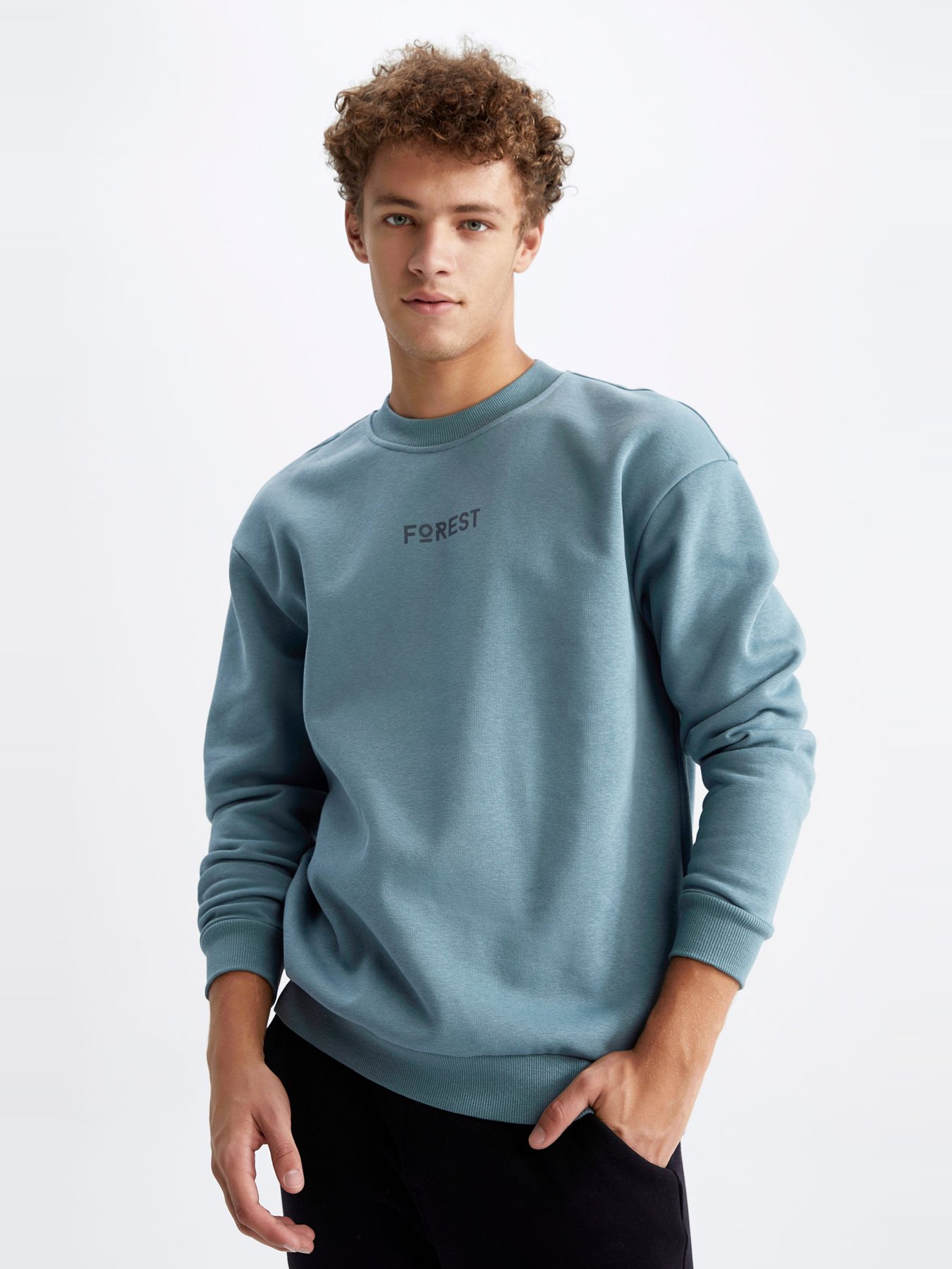 Світшот DeFacto модель V5306AZ-GN979 Фото