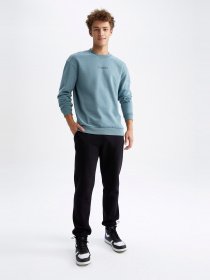 Світшот DeFacto модель V5306AZ-GN979 Фото