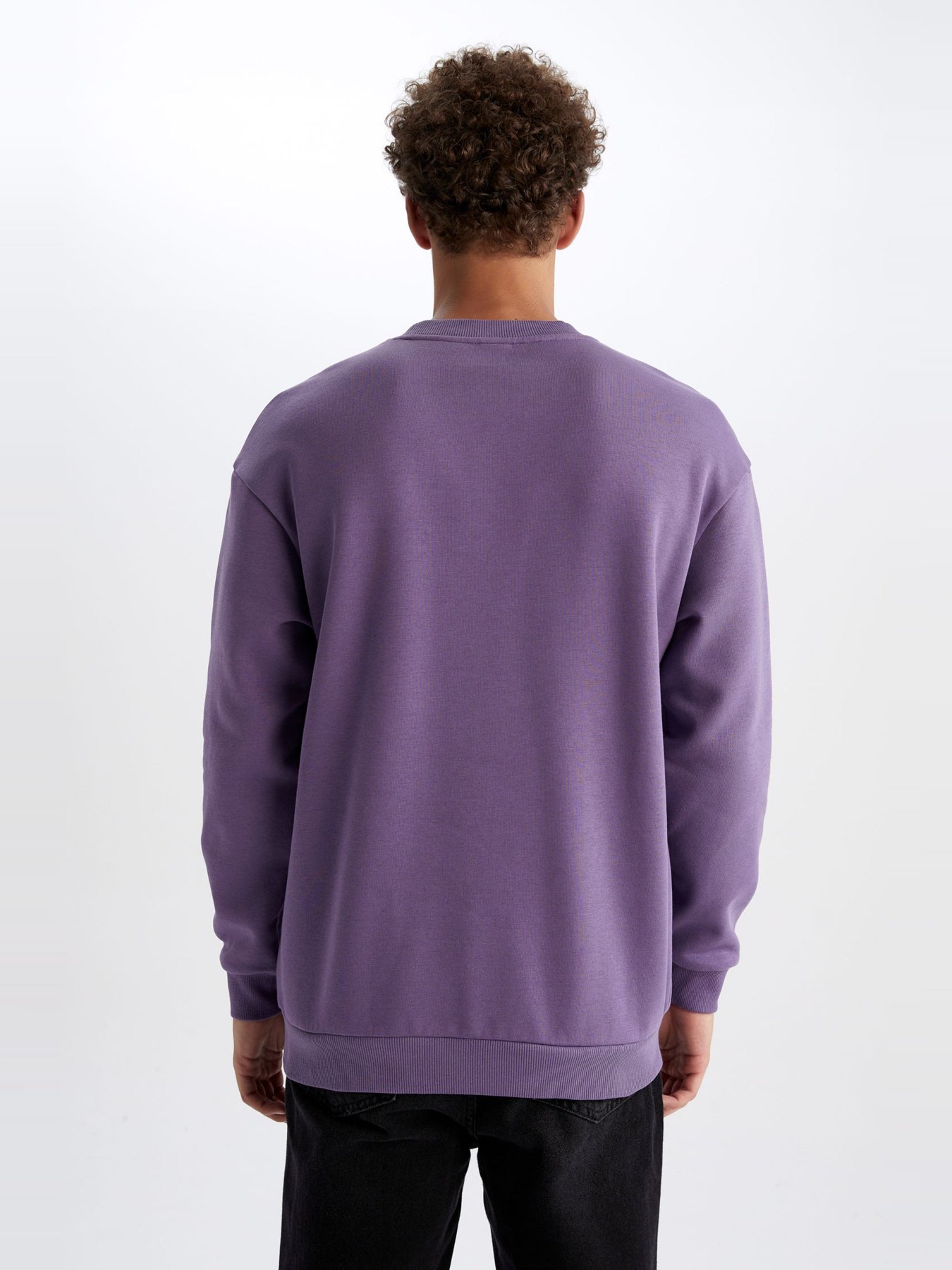 Свитшот DeFacto модель V5306AZ-PN407 Фото